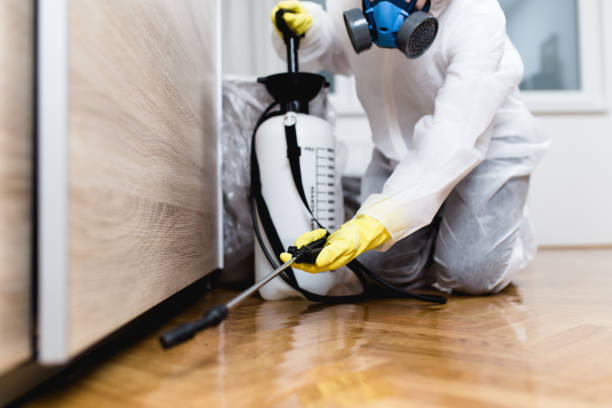Best Residential Pest Control  in Mulberry, FL