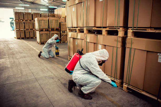 Best Bed Bug Extermination  in Mulberry, FL