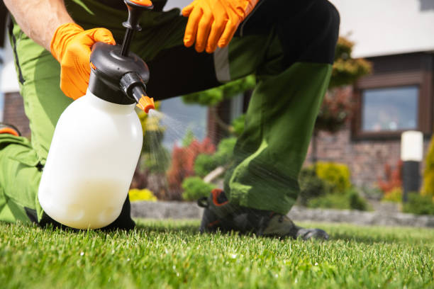 Professional Pest Control in Mulberry, FL