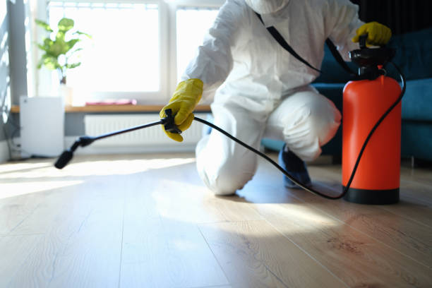 Wasp Removal Services in Mulberry, FL