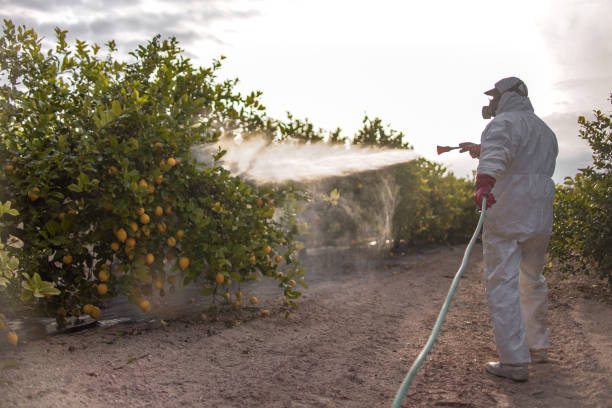 Pest Control Cost in Mulberry, FL