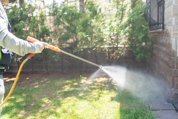 Best Pest Prevention Services  in Mulberry, FL