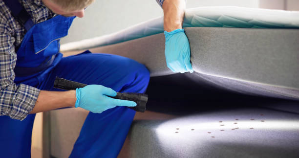 Best Wasp Removal Services  in Mulberry, FL