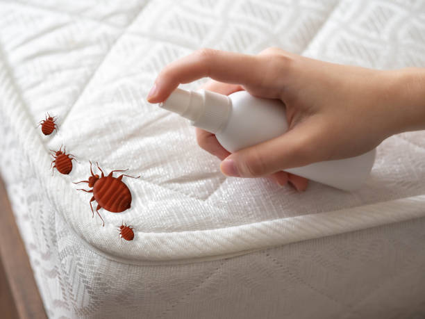  Mulberry, FL Pest Control Pros